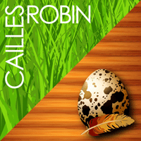 Cailles Robin